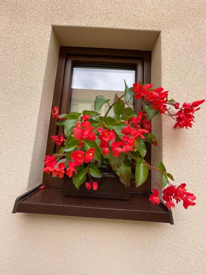 Sloneczne Apartamenty Поляница-Здруй Экстерьер фото